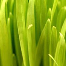 【软件评测报告】深度体验的免费ddos防火墙