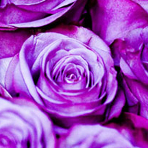 代理价格内部的服务器攻击方式